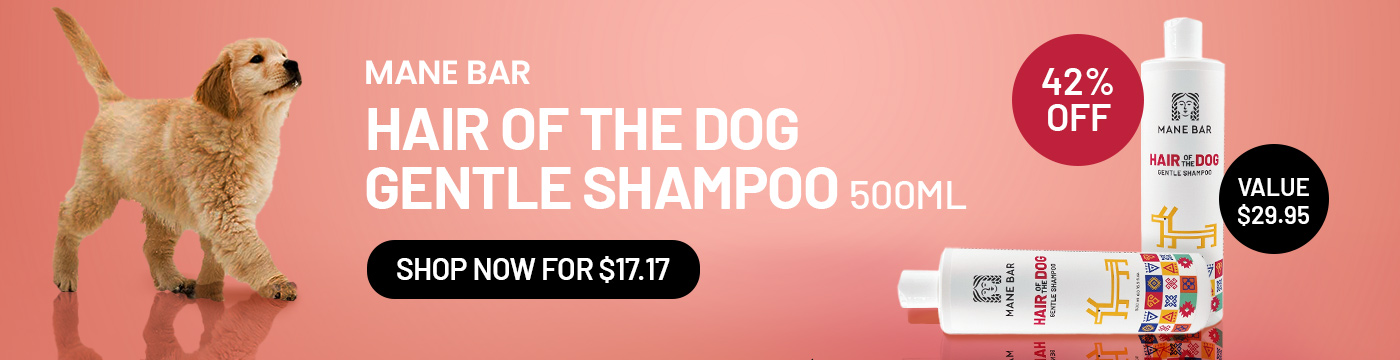 Manebar Hair Of The Dog Gentle Shampoo